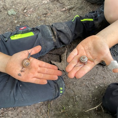 Kindergartenbeginn bei den Wald-Forscher-Kindern