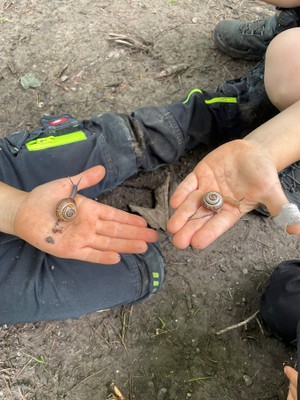 Kindergartenbeginn bei den Wald-Forscher-Kindern
