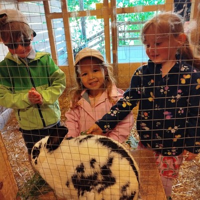 Tierischer Vormittag