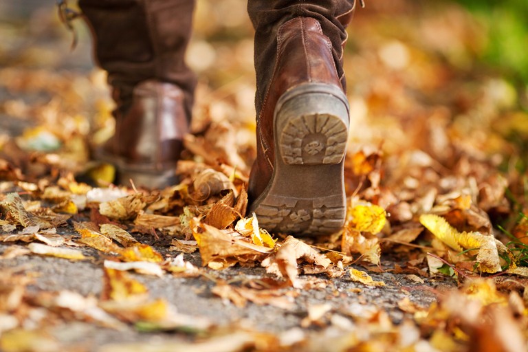 RutschgefahrLaub©Shutterstock