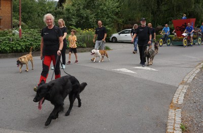26_Hundesportverein Sulz.JPG