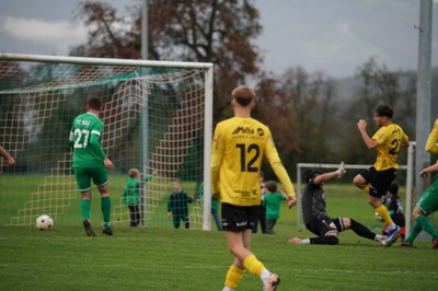 03_3. Tor für Altach durch Maksimovic.jpg