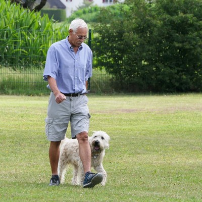 Hundesportverein Sulz Vereinsprüfung 14. Juli 2018