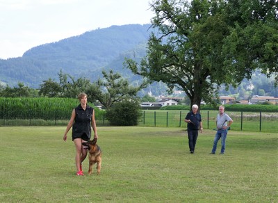P1050141.jpg