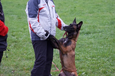 Jeanette mit Kiss.DSC_0039.jpg