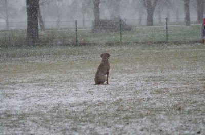 Schneeprinzessin Saphira.DSC_0152.jpg