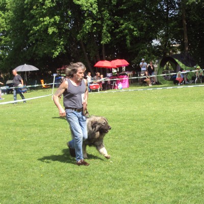 Vulcan-Double-Trophy am 28./29. April 2018