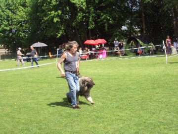 Vulcan-Double-Trophy am 28./29. April 2018