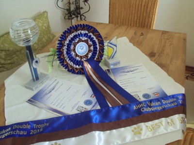 Vulcan-Double-Trophy 2018`M`Bary 008.JPG