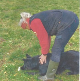 Fährtenseminar beim VHV Hundesportverein Hundefreunde Bregenz mit Claudia Frey