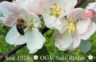 Obst- und Gartenbauverein Sulz-Röthis Obst- und Gartenbauverein Sulz-Röthis