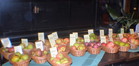 Alte Obstsorten - Informationsveranstaltung am 22.9.16 in Sulz