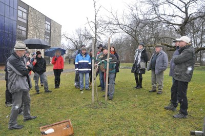 Baumschnittkurs 2016_06.jpg