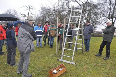 Baumschnittkurs 2016_07.jpg