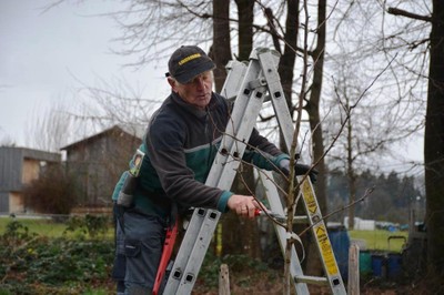 Baumschnittkurs 2016_08.JPG