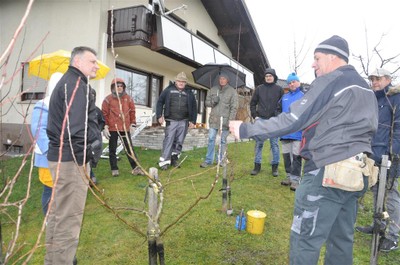 Baumschnittkurs 2016_10.jpg