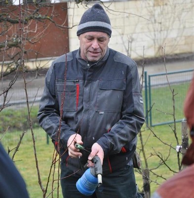 Baumschnittkurs 2016_11.jpg