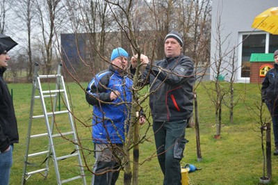 Baumschnittkurs 2016_13.JPG