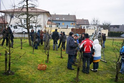 Baumschnittkurs 2016_14.JPG
