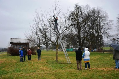 Baumschnittkurs 2016_15.JPG