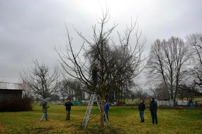 Baumschnittkurs 2016_17.JPG