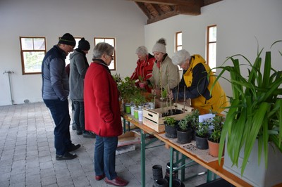 01a DSC_9690.JPG