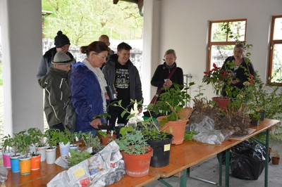 11 DSC_9707.JPG