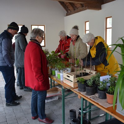 Blumen- und Pflanzentauschmarkt war wieder voller Erfolg
