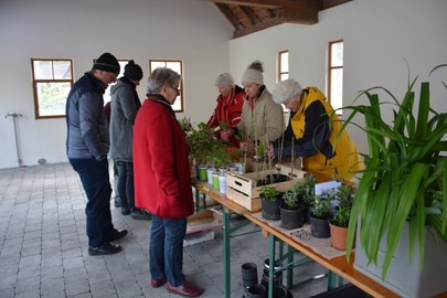 Blumen- und Pflanzentauschmarkt war wieder voller Erfolg