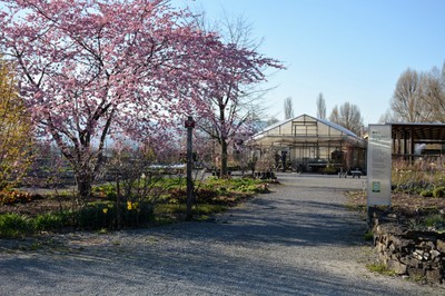 DSC_7343.JPG