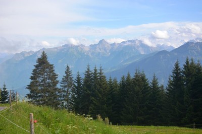 24 DSC_5144.JPG