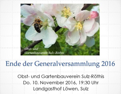 17 Generalversammlung 2016.JPG