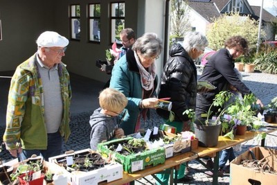 01 Gratis Pflanzentauschbörse in Röthis VN-TK.jpg