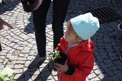 14 Gratis Pflanzentauschbörse in Röthis VN-TK.jpg