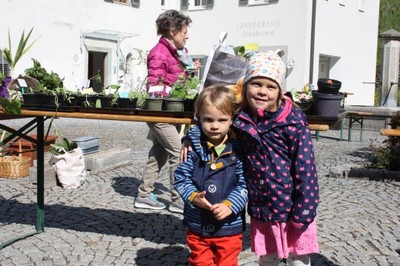 15 Gratis Pflanzentauschbörse in Röthis VN-TK.jpg