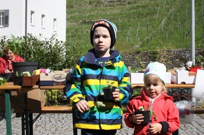 18 Gratis Pflanzentauschbörse in Röthis VN-TK.jpg