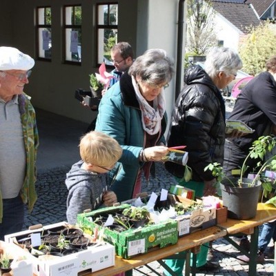 Gratis-Pflanzen vom Nachbarsgarten