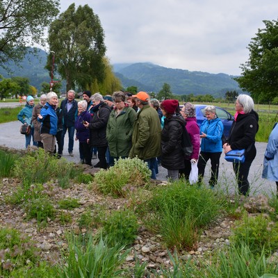 Kräuter und Heilpflanzen mit Elke Kopf und Lore Frick am Freitag, 19.05.23 um 17:30 Uhr bei Stauden Kopf in Sulz.