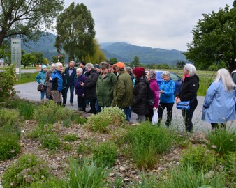 Kräuter und Heilpflanzen mit Elke Kopf und Lore Frick am Freitag, 19.05.23 um 17:30 Uhr bei Stauden Kopf in Sulz.