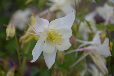 DSC_3997.JPG