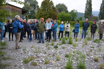 DSC_4007 Steingarten.JPG