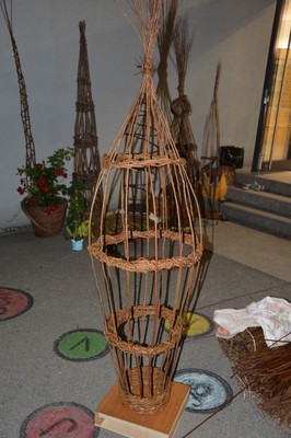 DSC_6508.JPG
