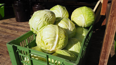 13_Kraut.png
