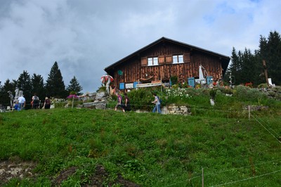 DSC_1649.jpg