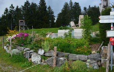 DSC_1650.jpg
