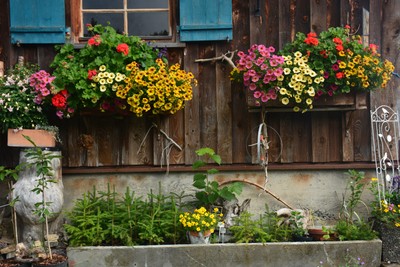 DSC_1660.jpg