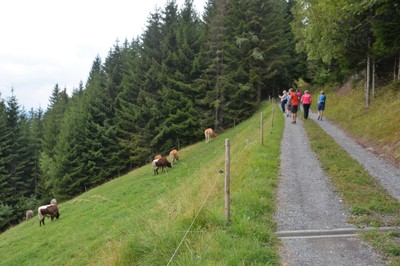 DSC_9324b.jpg