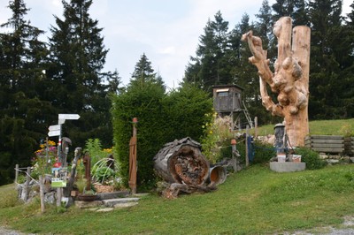 DSC_9331.JPG