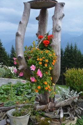 DSC_9334.JPG