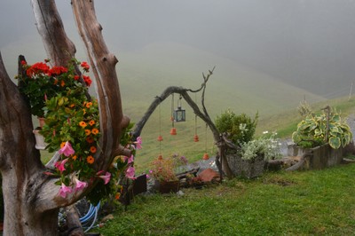 DSC_9355b.jpg